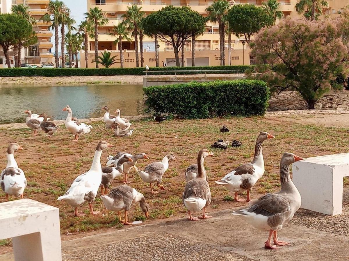 Apartamento En La Playa タベルネス・デ・ラ・バルディグナ エクステリア 写真